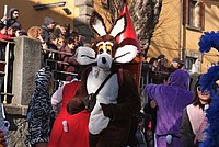 Foto Carnevale Borgotarese 2013/ Carnevale_Borgotaro_2013_186