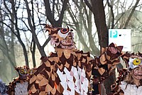 Foto Carnevale Borgotarese 2013/ Carnevale_Borgotaro_2013_356