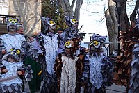 Foto Carnevale Borgotarese 2013/ Carnevale_Borgotaro_2013_534
