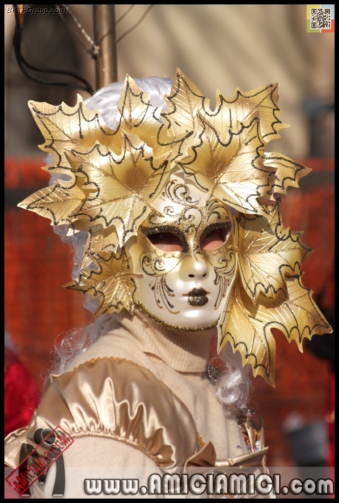 Carnevale_Borgotaro_2013_022 - Carnevale borgotarese 2013 - 390 KB