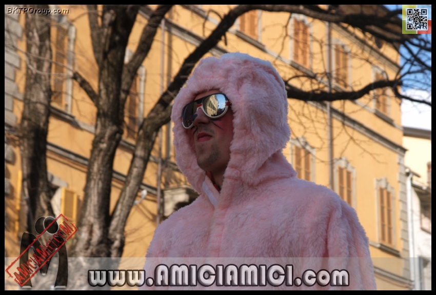Carnevale_Borgotaro_2013_185 - Carnevale borgotarese 2013 - 230 KB
