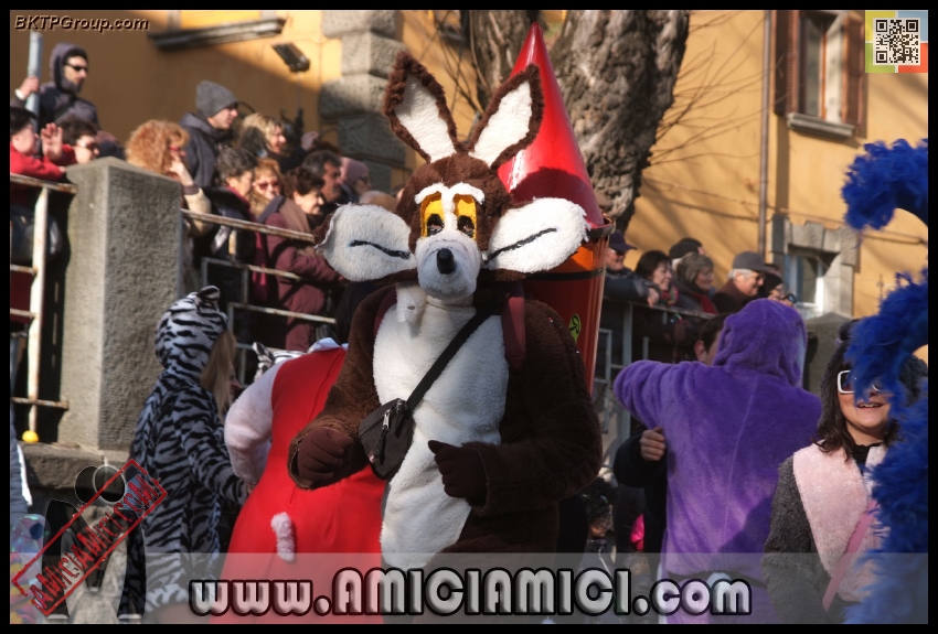 Carnevale_Borgotaro_2013_186 - Carnevale borgotarese 2013 - 265 KB