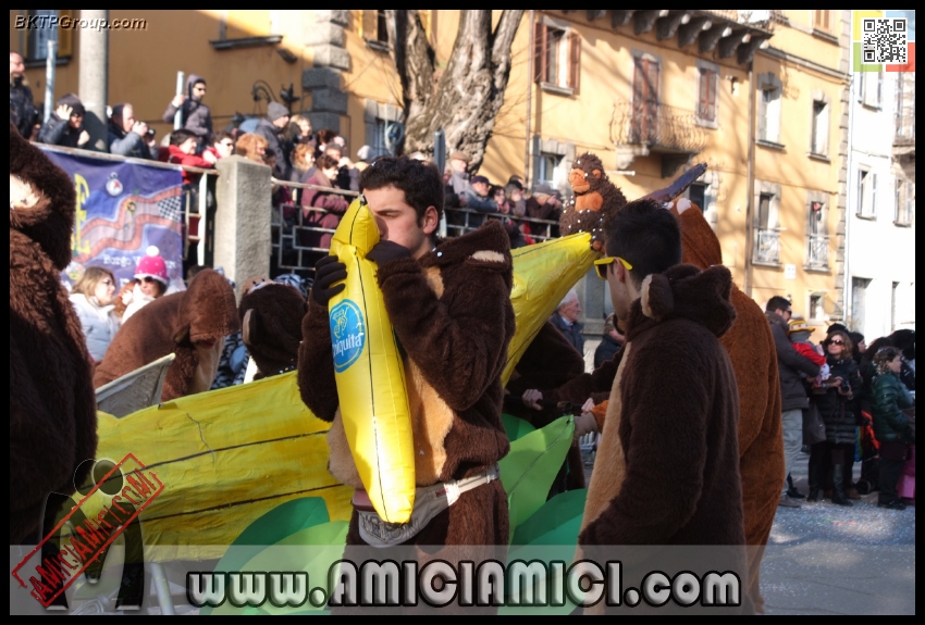 Carnevale_Borgotaro_2013_242 - Carnevale borgotarese 2013 - 288 KB