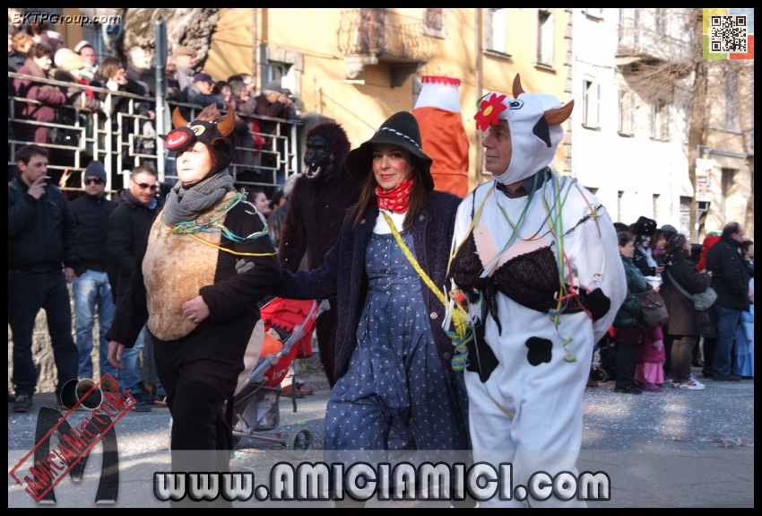 Carnevale_Borgotaro_2013_244 - Carnevale borgotarese 2013 - 297 KB
