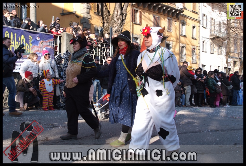 Carnevale_Borgotaro_2013_246 - Carnevale borgotarese 2013 - 333 KB