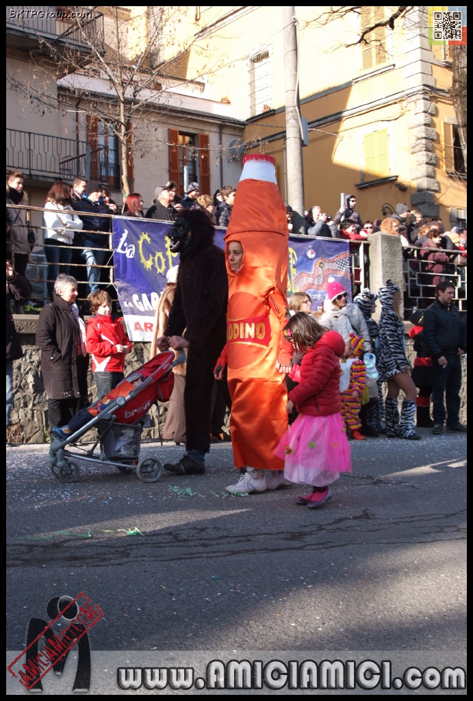 Carnevale_Borgotaro_2013_248 - Carnevale borgotarese 2013 - 485 KB