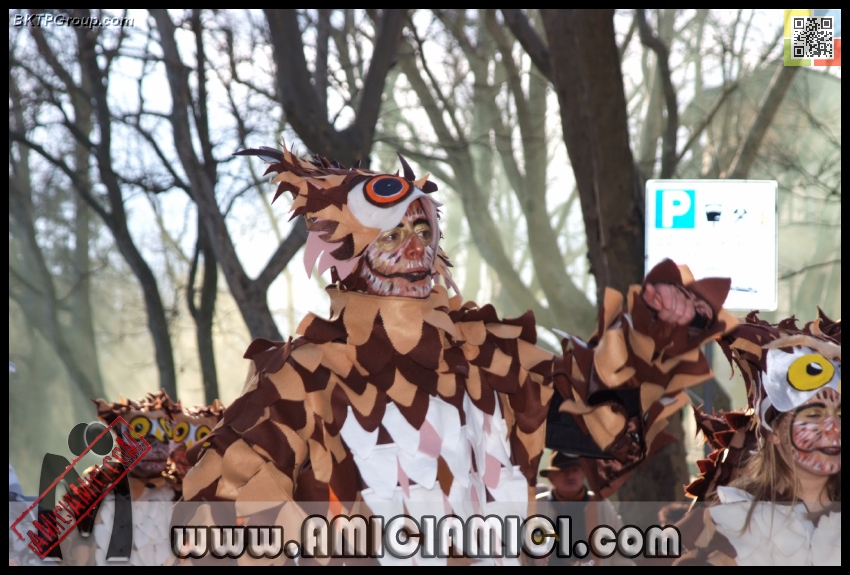 Carnevale_Borgotaro_2013_356 - Carnevale borgotarese 2013 - 272 KB