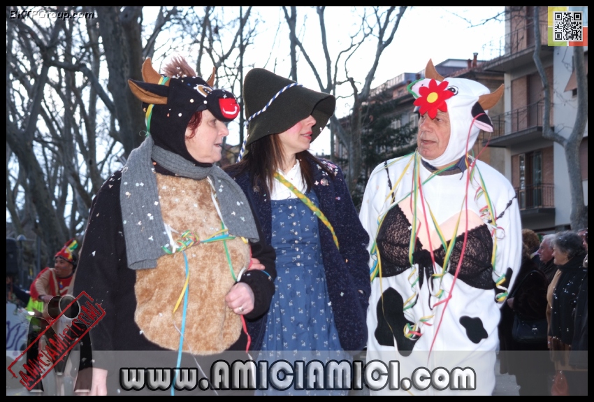 Carnevale_Borgotaro_2013_423 - Carnevale borgotarese 2013 - 302 KB