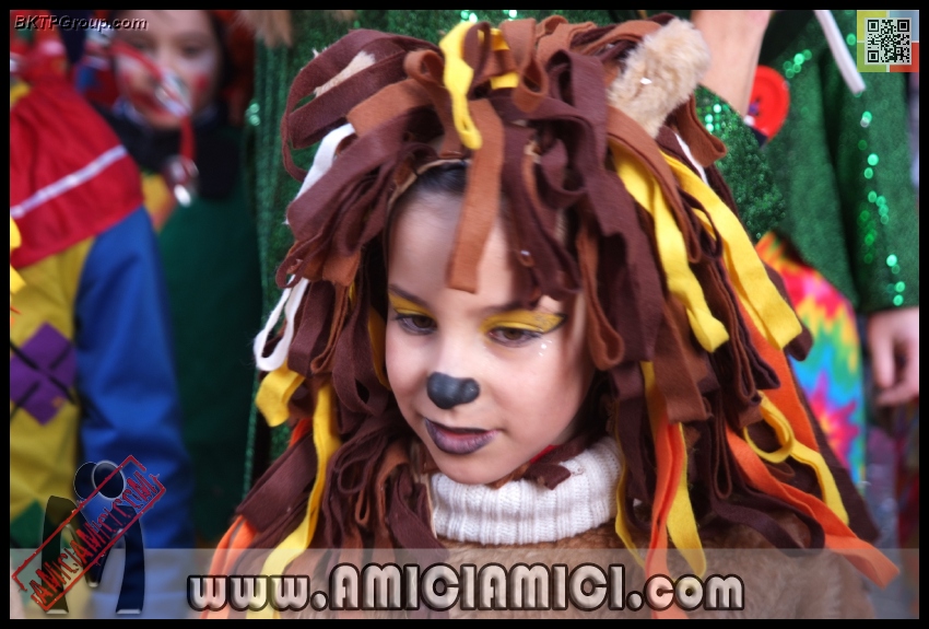Carnevale_Borgotaro_2013_472 - Carnevale borgotarese 2013 - 243 KB
