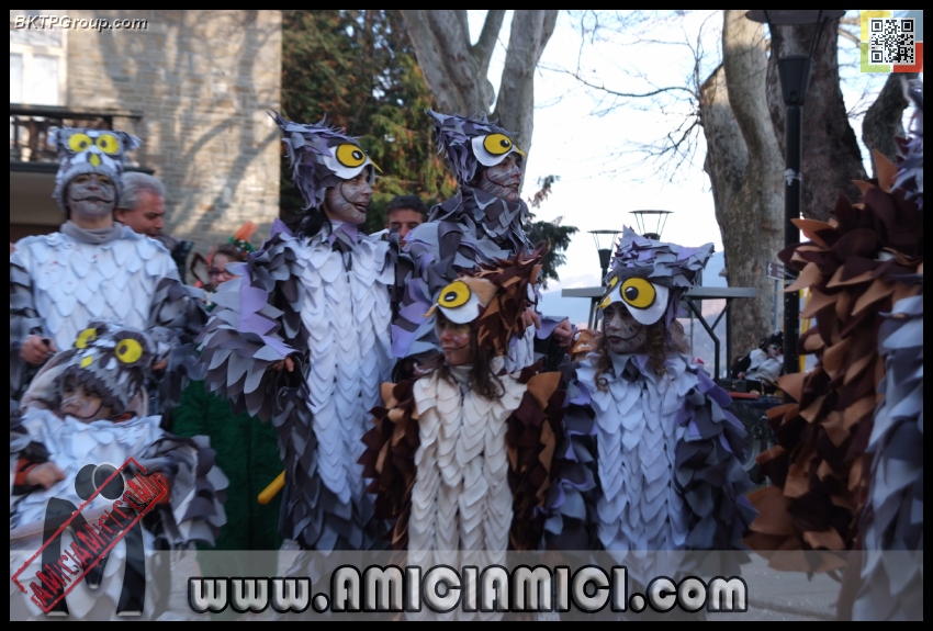 Carnevale_Borgotaro_2013_534 - Carnevale borgotarese 2013 - 282 KB