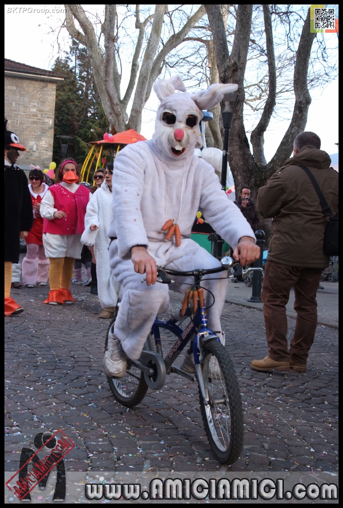Carnevale_Borgotaro_2013_542 - Carnevale borgotarese 2013 - 463 KB