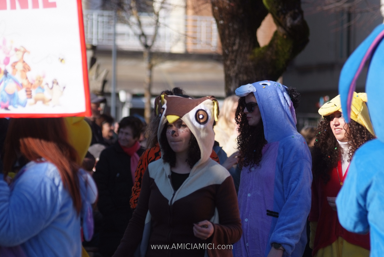 Foto Carnevale a Bardi 2026 Carnevale_Bardi_2026_042