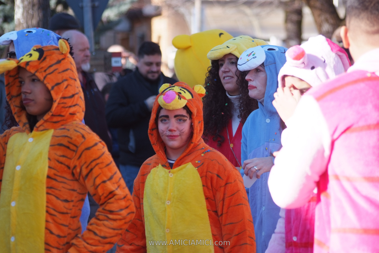 Foto Carnevale a Bardi 2026 Carnevale_Bardi_2026_050