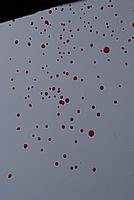 Foto Carnevale di Cento 2010/ Carnevale_Cento_2010_064