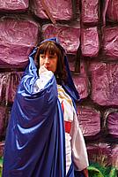 Foto Carnevale di Cento 2010/ Carnevale_Cento_2010_117