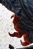 Foto Carnevale di Cento 2010/ Carnevale_Cento_2010_120