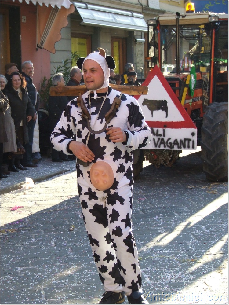 Carnevale bedoniese 2007 371 286 KB