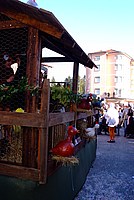 Foto Carnevale in piazza 2012 Carnevale_Bedonia_2012_0234