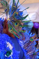 Foto Carnevale in piazza 2012 Carnevale_Bedonia_2012_0878