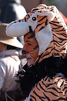 Foto Carnevale in piazza 2013/ Carnevale_Bedonia_2013_0008