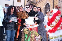 Foto Carnevale in piazza 2013/ Carnevale_Bedonia_2013_0687