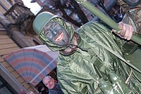 Foto Carnevale in piazza 2013/ Carnevale_Bedonia_2013_0858