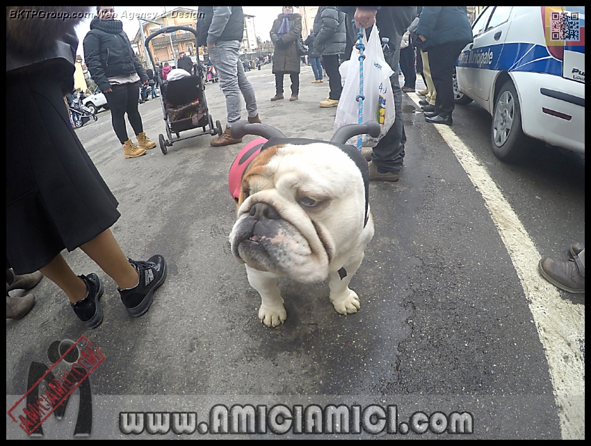 carnevale_2016_016 - Carnevale Bedonia 2016 - 510 KB