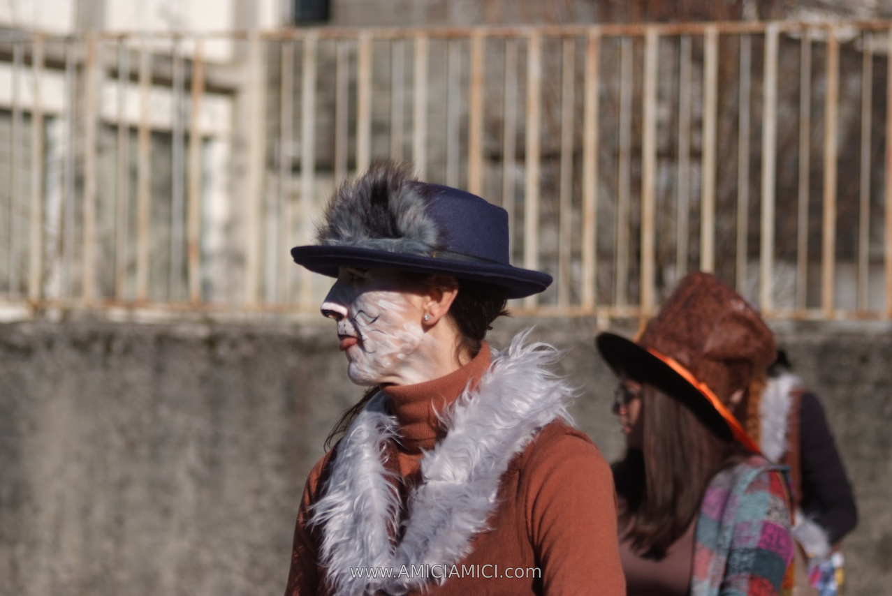 Foto Carnevale in piazza 2026 Carnevale_Bedonia_2026_019
