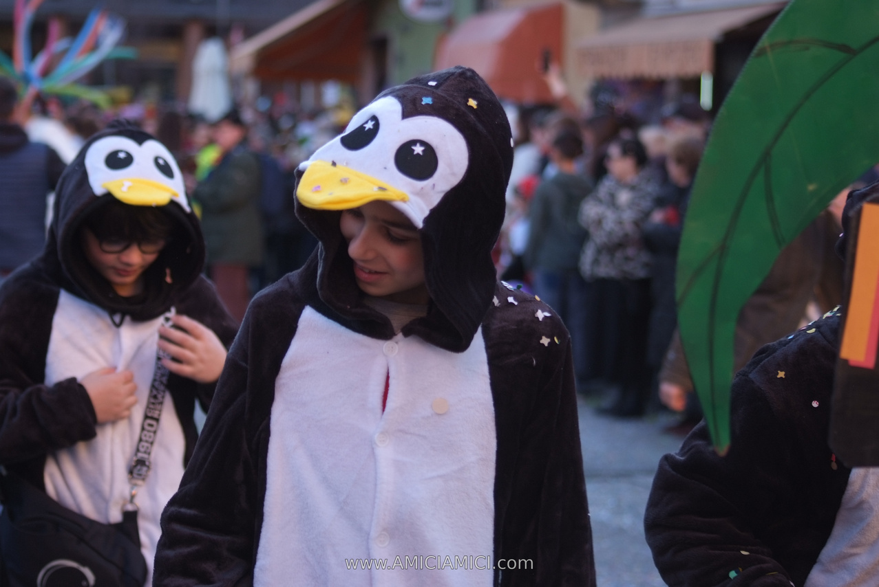 Foto Carnevale in piazza 2026 Carnevale_Bedonia_2026_1002