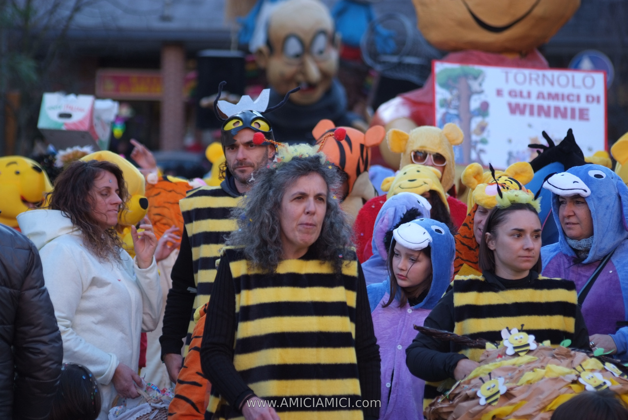 Foto Carnevale in piazza 2026 Carnevale_Bedonia_2026_1077