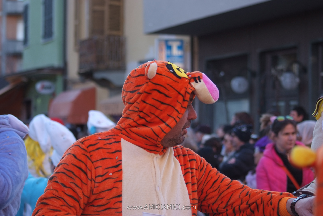 Foto Carnevale in piazza 2026 Carnevale_Bedonia_2026_1095