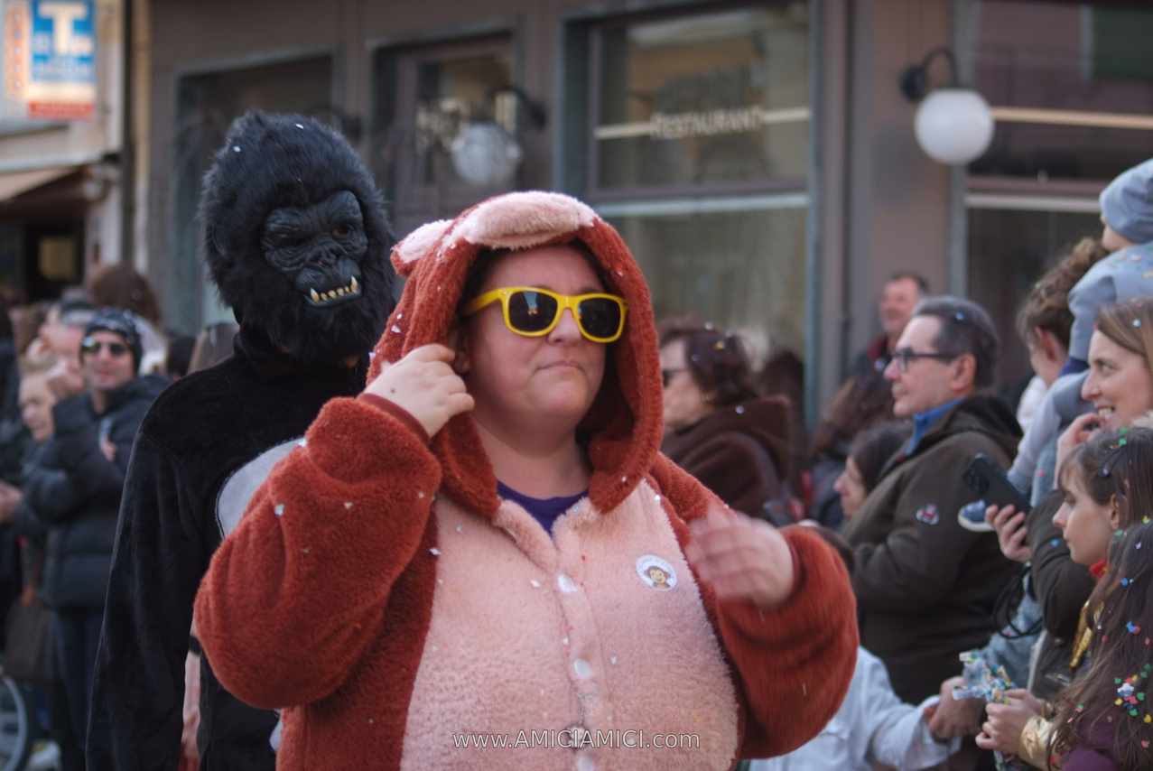 Foto Carnevale in piazza 2026 Carnevale_Bedonia_2026_1218