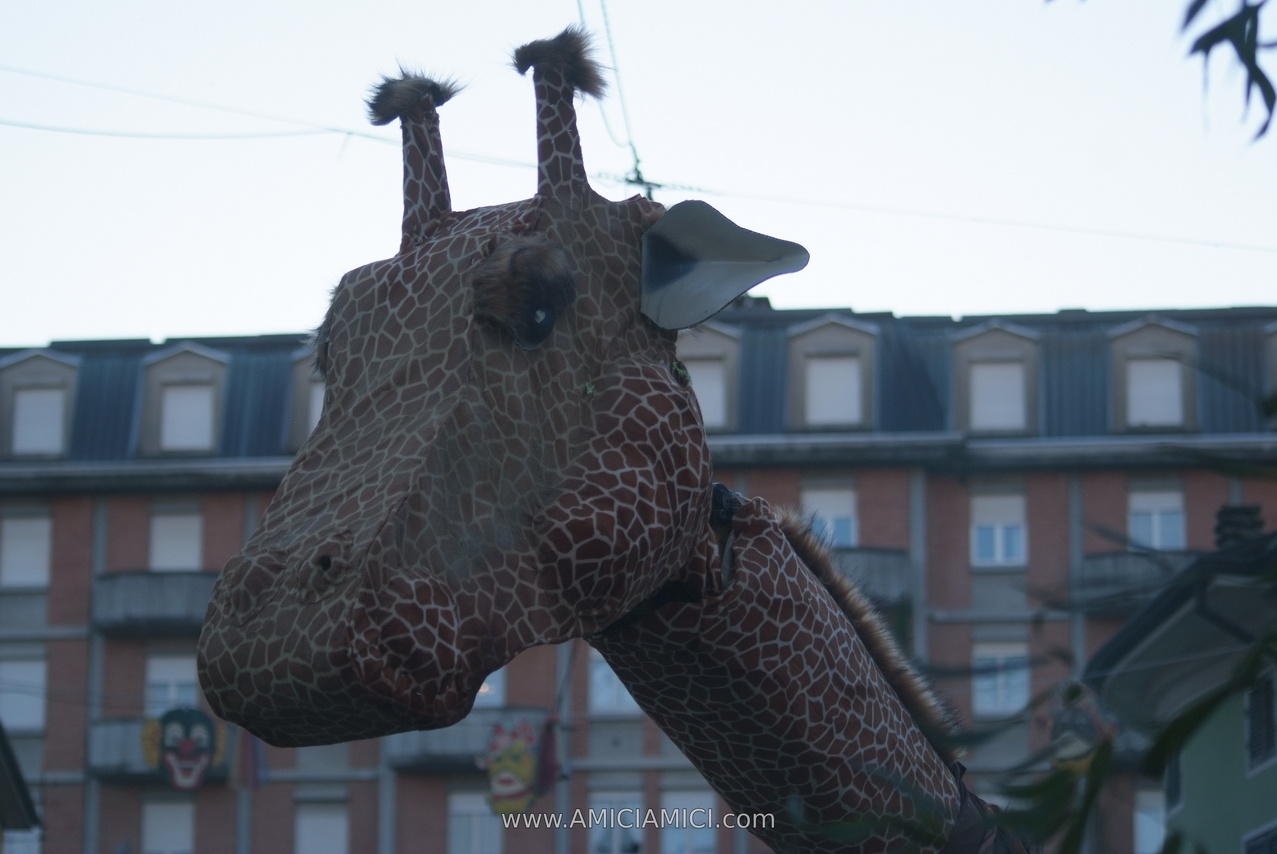 Foto Carnevale in piazza 2026 Carnevale_Bedonia_2026_1250