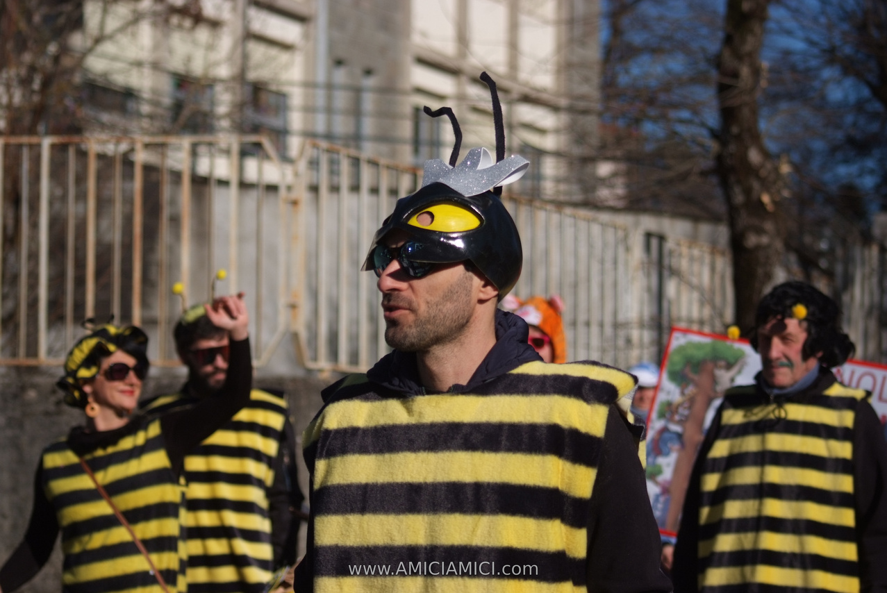 Foto Carnevale in piazza 2026 Carnevale_Bedonia_2026_256