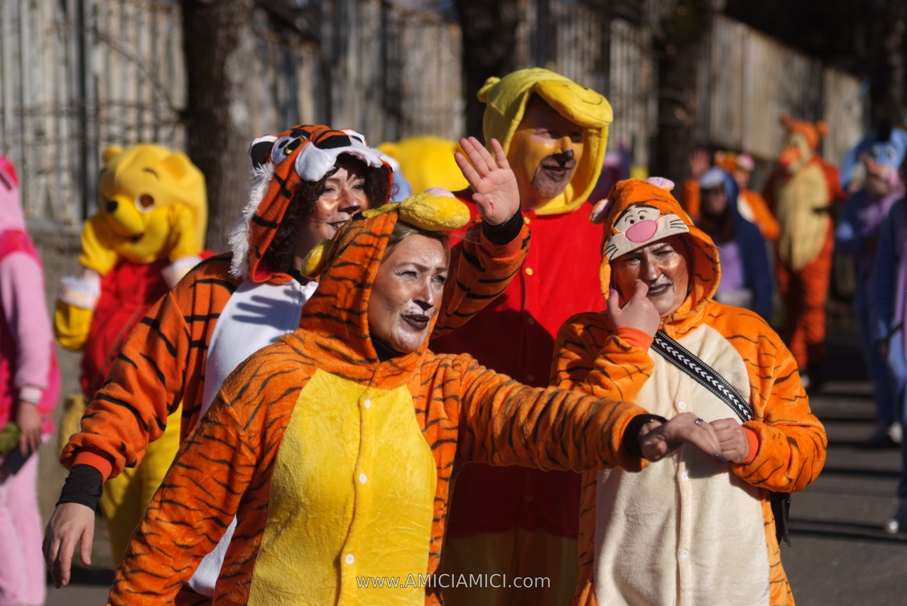 Foto Carnevale in piazza 2026 Carnevale_Bedonia_2026_260