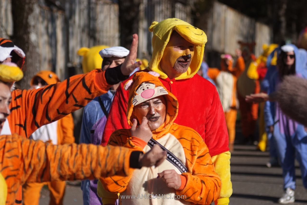 Foto Carnevale in piazza 2026 Carnevale_Bedonia_2026_261