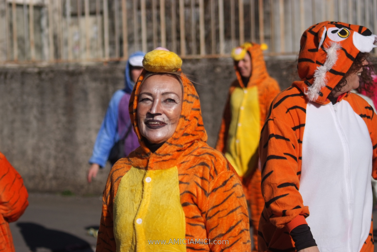 Foto Carnevale in piazza 2026 Carnevale_Bedonia_2026_263