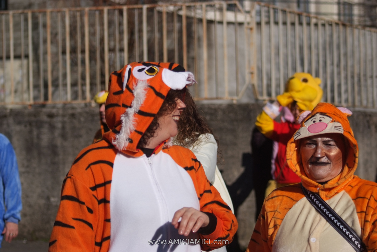 Foto Carnevale in piazza 2026 Carnevale_Bedonia_2026_264