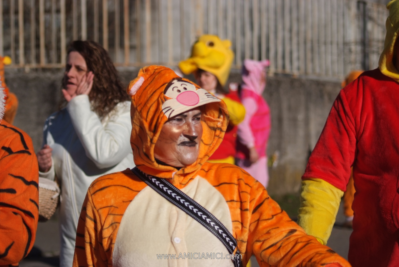 Foto Carnevale in piazza 2026 Carnevale_Bedonia_2026_265