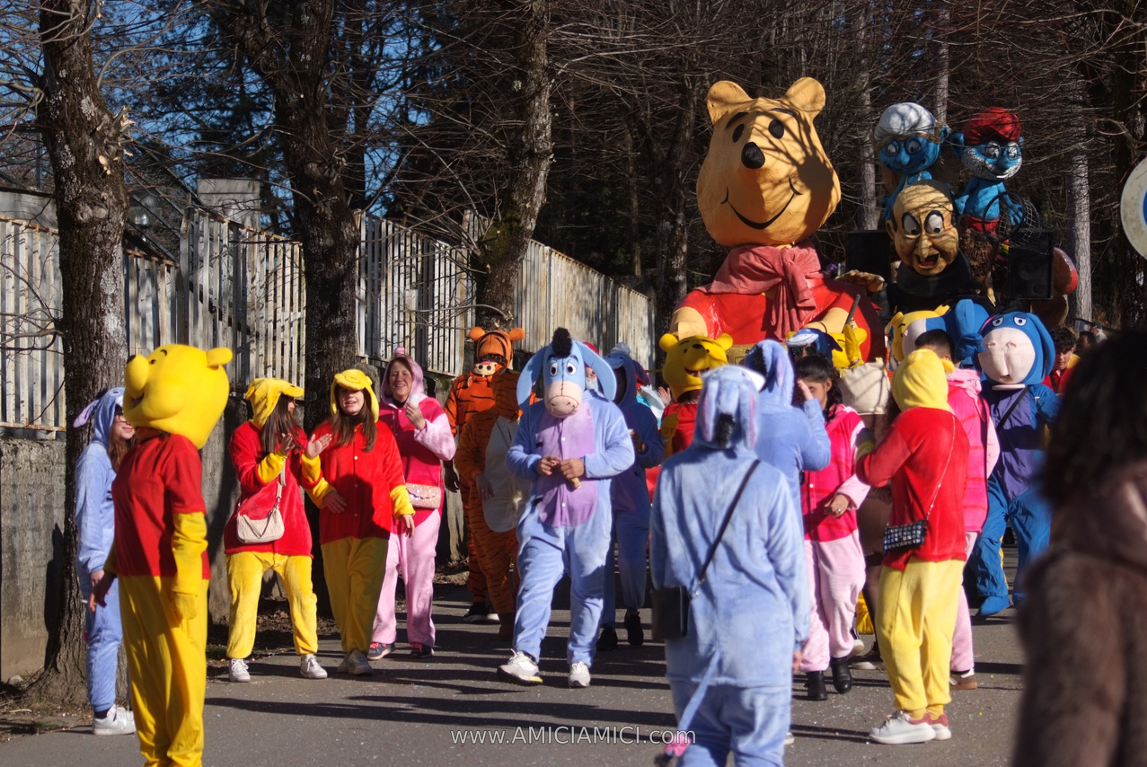 Foto Carnevale in piazza 2026 Carnevale_Bedonia_2026_270