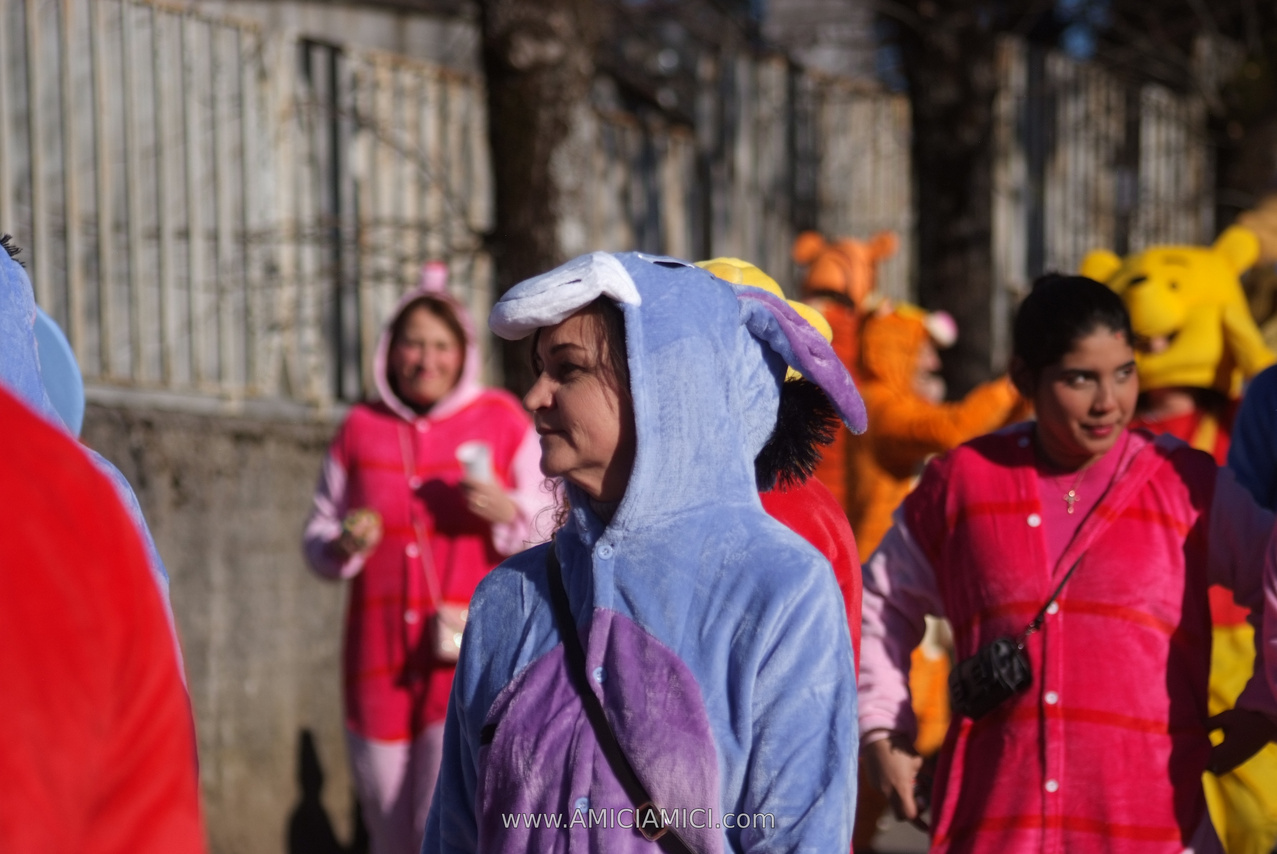 Foto Carnevale in piazza 2026 Carnevale_Bedonia_2026_274