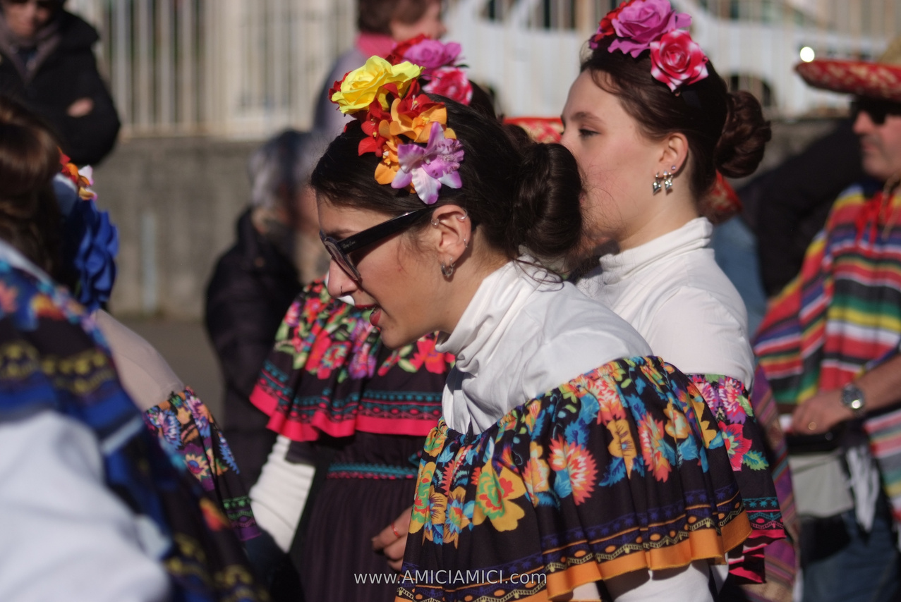 Foto Carnevale in piazza 2026 Carnevale_Bedonia_2026_435