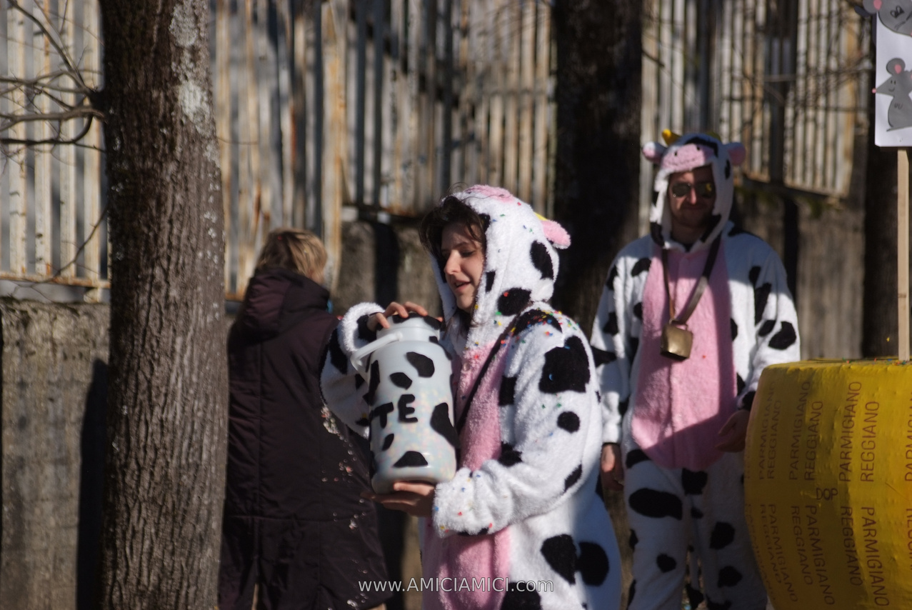 Foto Carnevale in piazza 2026 Carnevale_Bedonia_2026_516