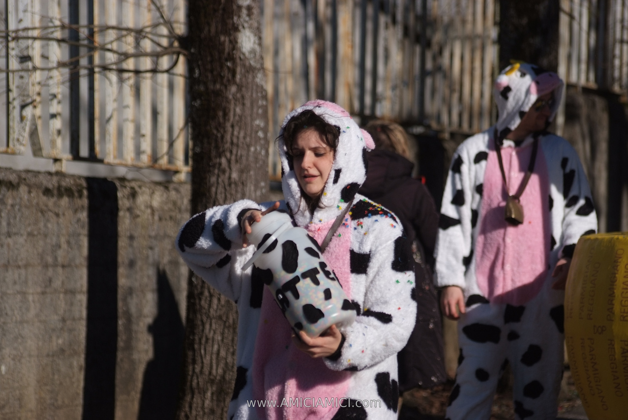 Foto Carnevale in piazza 2026 Carnevale_Bedonia_2026_517