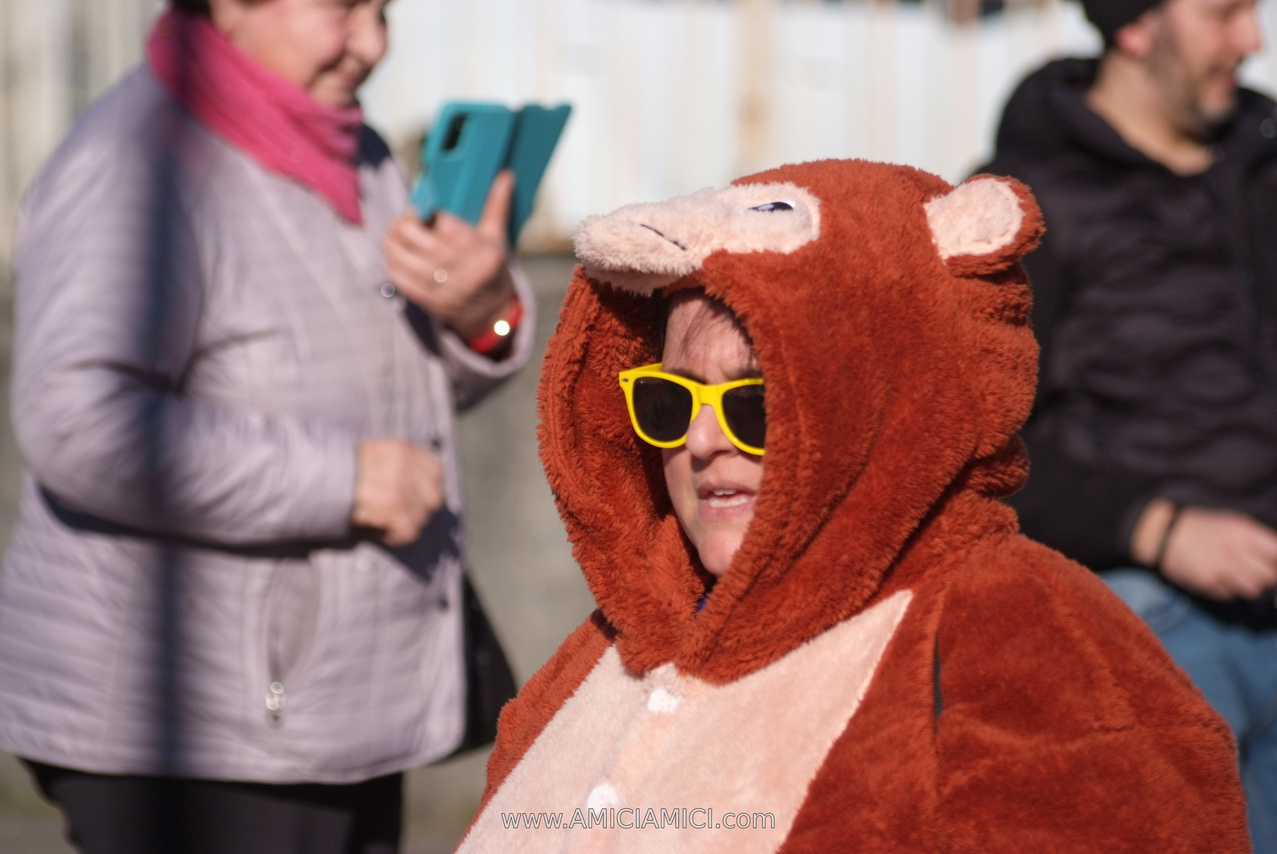 Foto Carnevale in piazza 2026 Carnevale_Bedonia_2026_532