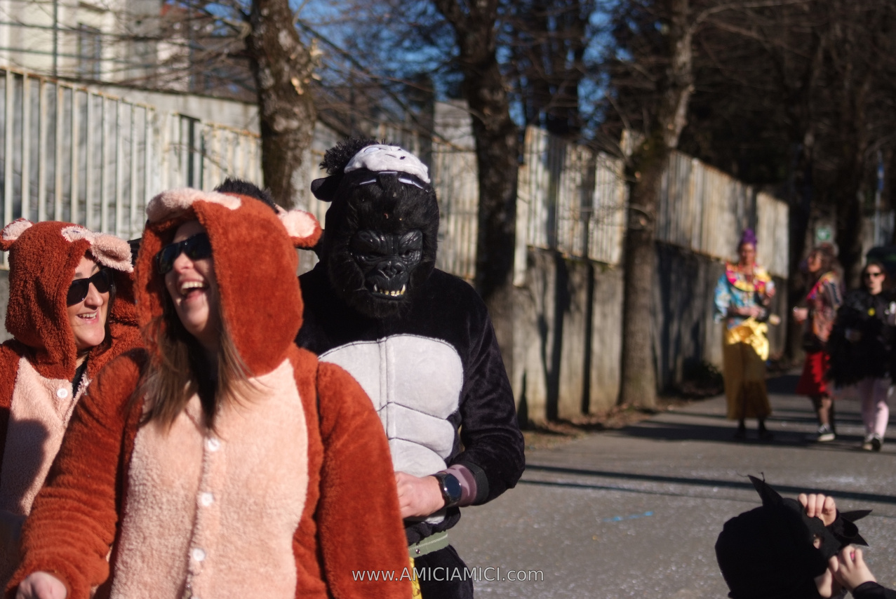Foto Carnevale in piazza 2026 Carnevale_Bedonia_2026_536