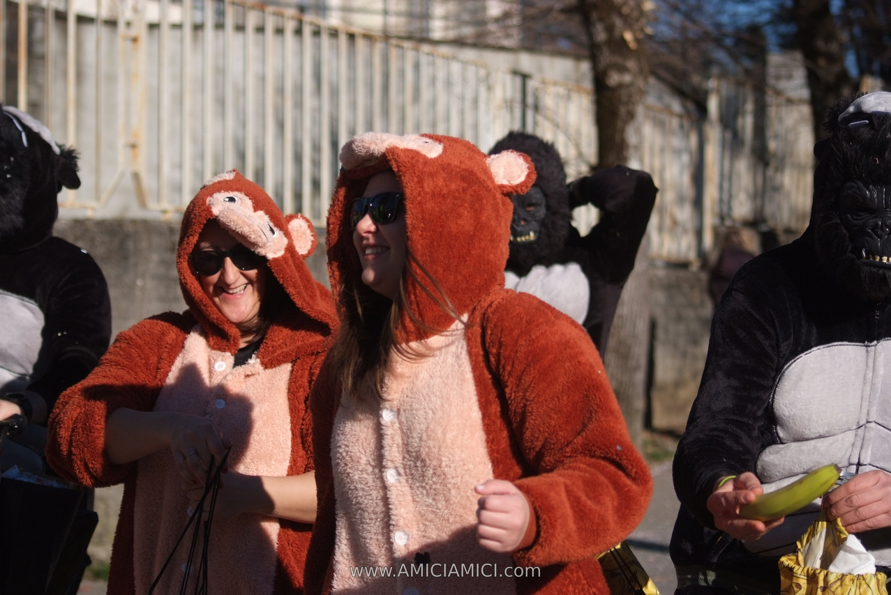 Foto Carnevale in piazza 2026 Carnevale_Bedonia_2026_537
