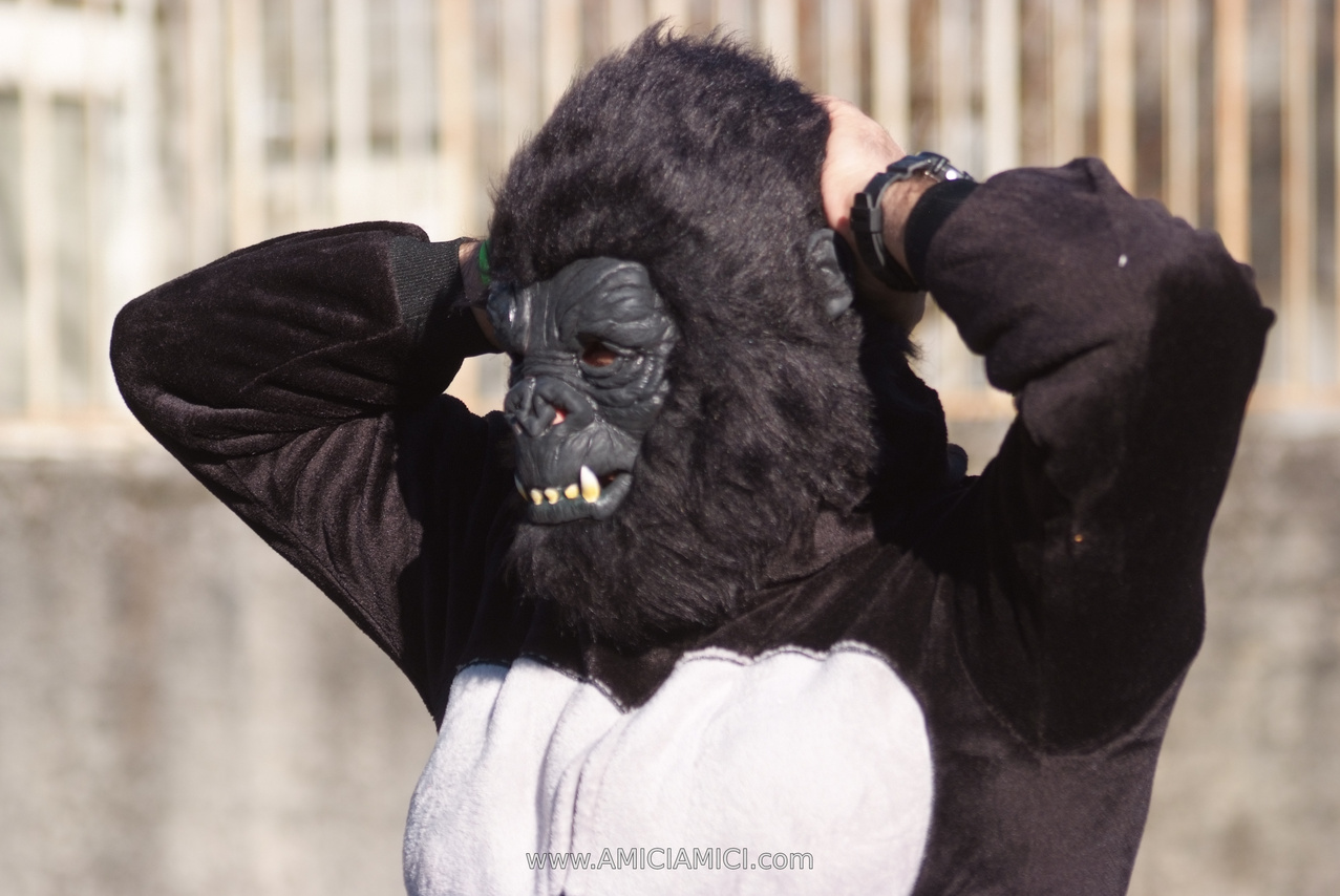 Foto Carnevale in piazza 2026 Carnevale_Bedonia_2026_538