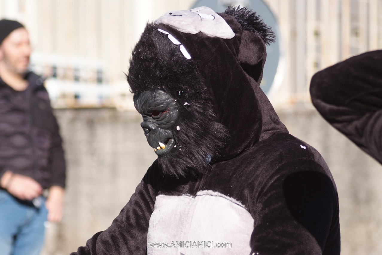 Foto Carnevale in piazza 2026 Carnevale_Bedonia_2026_539