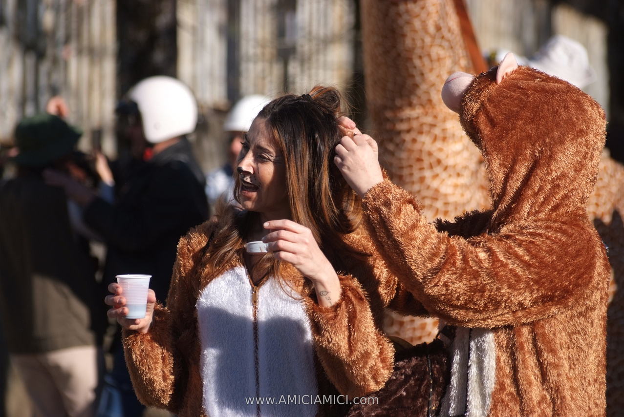 Foto Carnevale in piazza 2026 Carnevale_Bedonia_2026_556